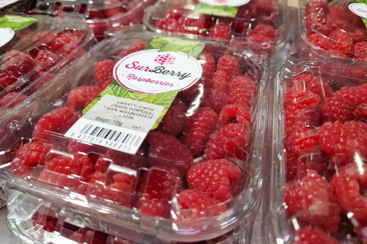 Sezon na maliny w pełni! Plastikowe opakowania pełne soczystych, czerwonych owoc&oacute;w z Portugalii.